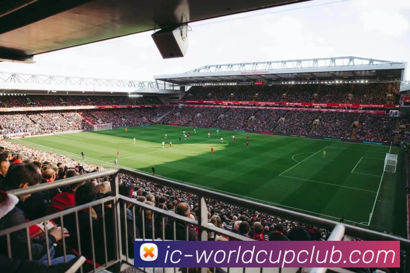 世俱杯投注平台生态图